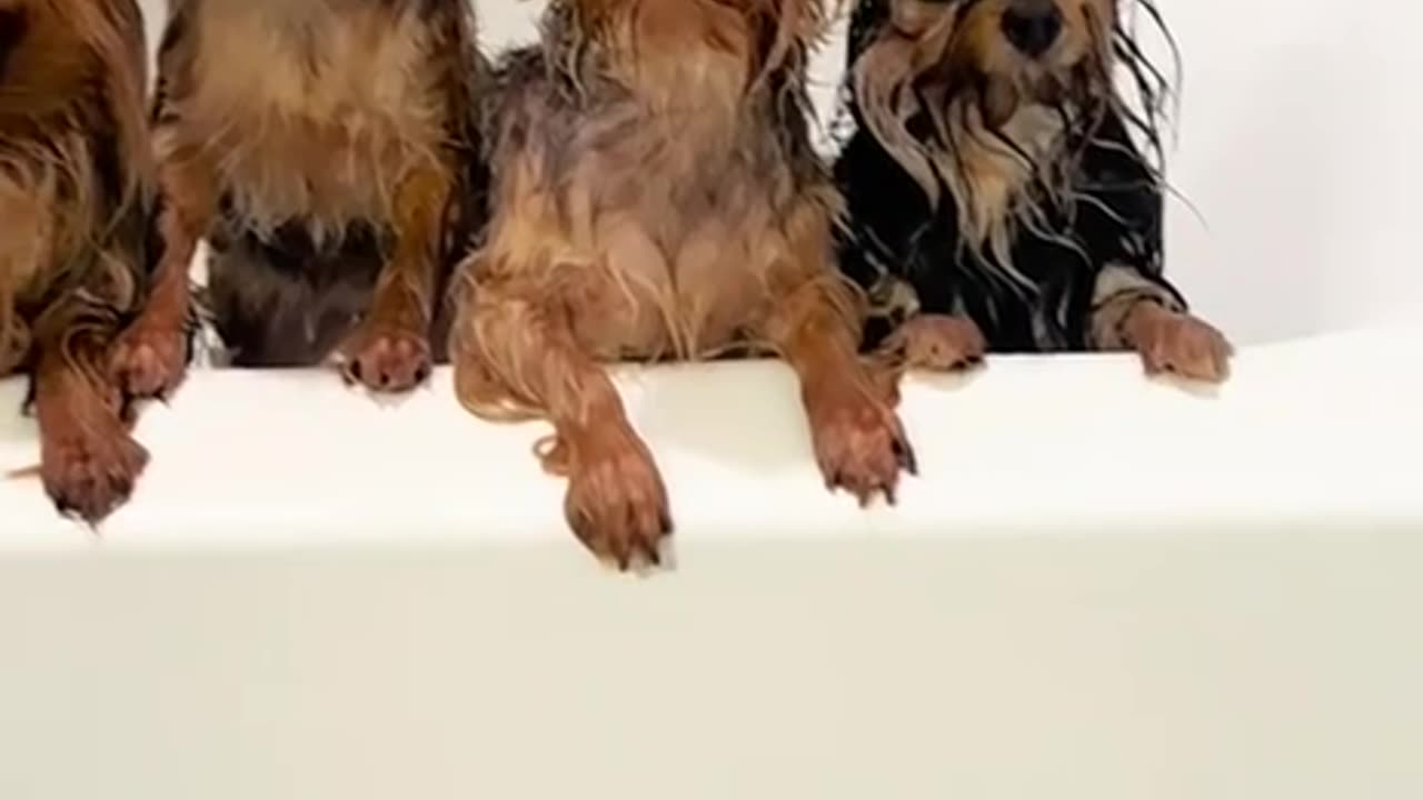 <> BATH TIME 😘<>