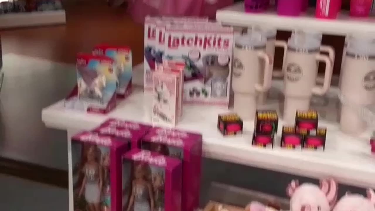 Flashback to visit! Cute stuffed animals, latch kits, and Halloween costumes.