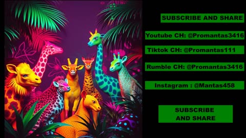Animals V1