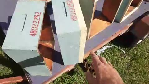 Hive box repairs