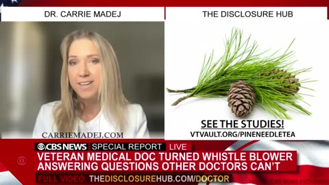 Pine Needle Tea? - Dr Carrie Madej