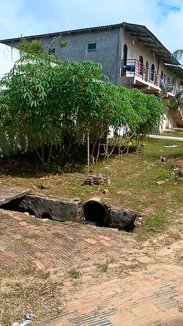 Acre a terra que mana leite e mel