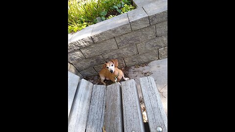 127th Weenie Stream