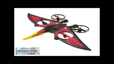 HW Wing Dragon 2.4GHz 4CH 310mm Wingspan 6-Axis Gyro One Key Aerobatics Review