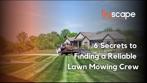 How to Choose a Lawn Care Service: 6 Things to Watch For