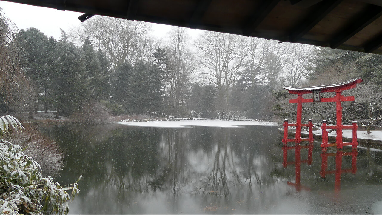 A snowy day in Brooklyn Botanic Garden