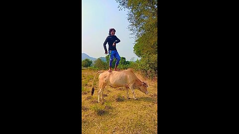 BOY Dances with COW to Indian Beats in Funny Roast Video?