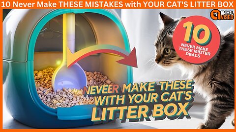 10 Never Make THESE MISTAKES with YOUR CAT'S LITTER BOX | Animal Vised