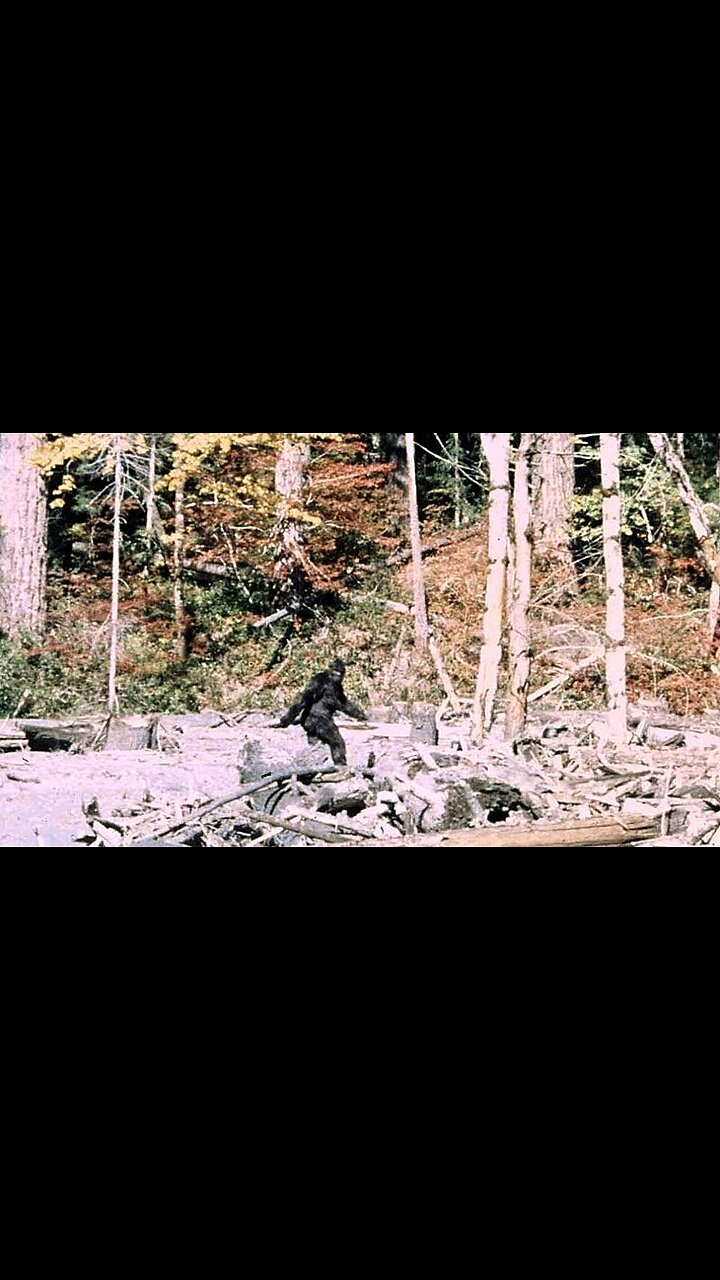 This is getting REALLY wild! Man has CREEPY encounter with tall dark trees!!