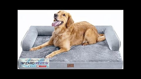 Large Dog Bed Orthopedic Washable Beds Bolster Medium XL XLarge Review