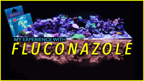 I Battled Hair Algae in My Reef Tank with Fluconazole and Won!