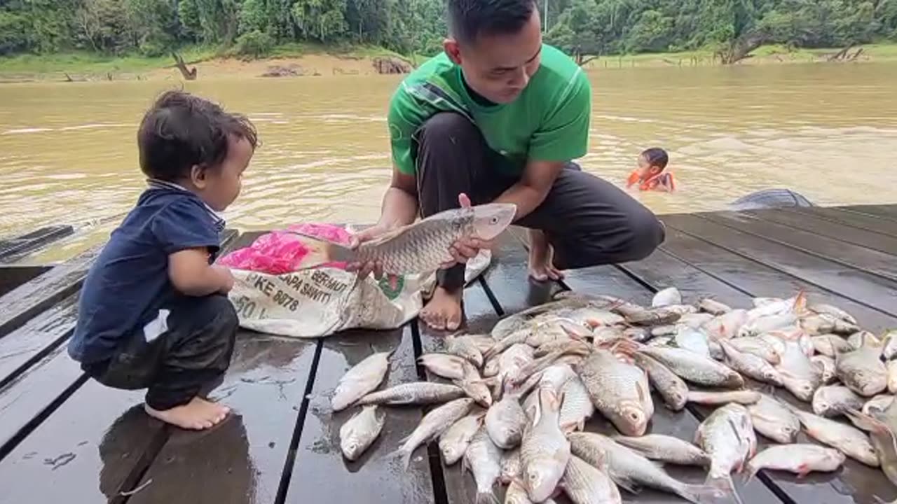 FIsh