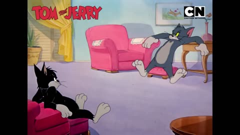 Funny Tom and Jerry_ Bachelorate for Toodles!