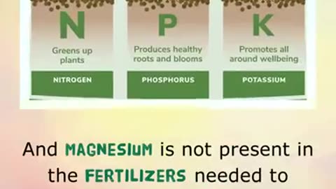 Strange Signs You NEED Magnesium