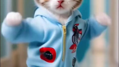 ❤️😍Cute kitten #cat#lovecat#cats#catvideos#kitten#catlover#princecat,#catl#kittenover