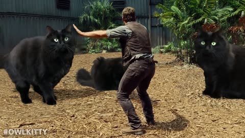 Jurassic World Cats