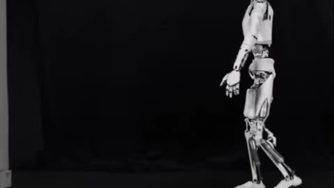 Humanoid Robots: Are They REAL or CGI?