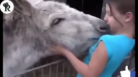 Reaction of a donkey right after see the girl who raised him