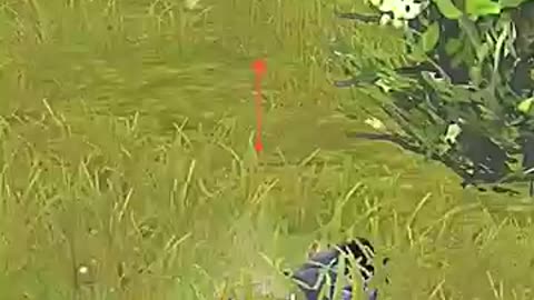 Zone killed or "I " in pubg ?