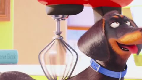 Funny dog🤣🤣🤣