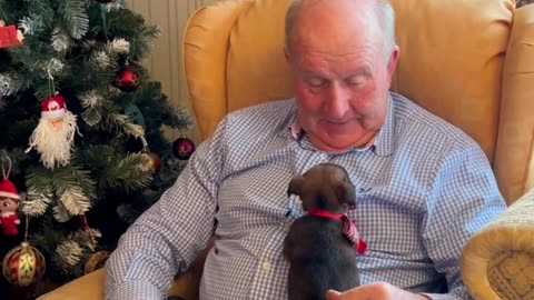 Grandpa Surprised With Puppy For Christmas