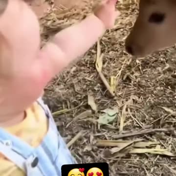 cute baby&animals🥰🥰🥰❤️❤️