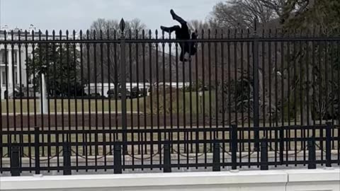 Man tries to scale White House fence