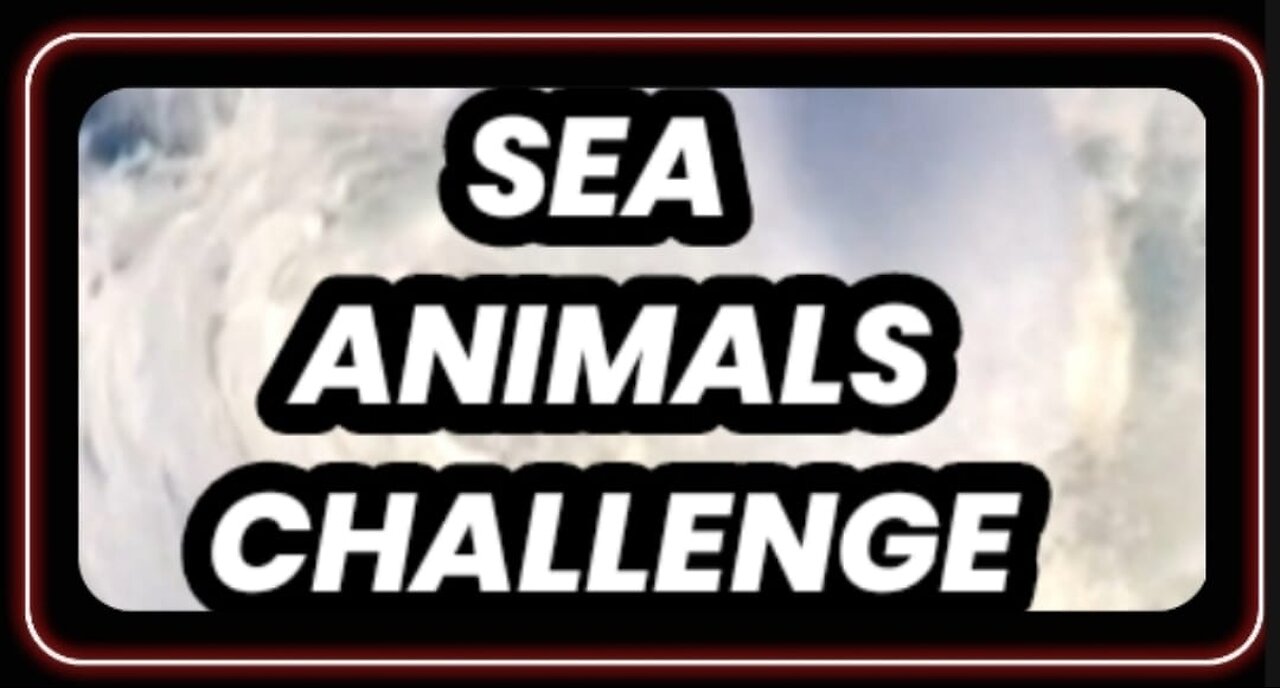 Sea Animals Challenge