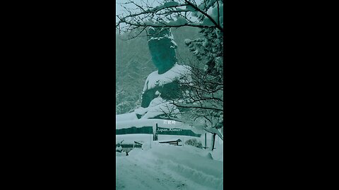 The largest Buddha statue in Japan