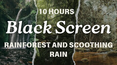 Tropical Rainforest Sounds and Rain 10 Hours Black Screen Relax Sleep Dark Screen