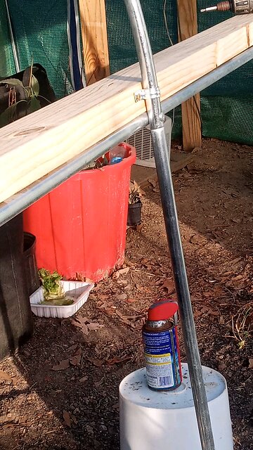 shelf in greenhouse