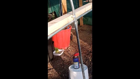 shelf in greenhouse