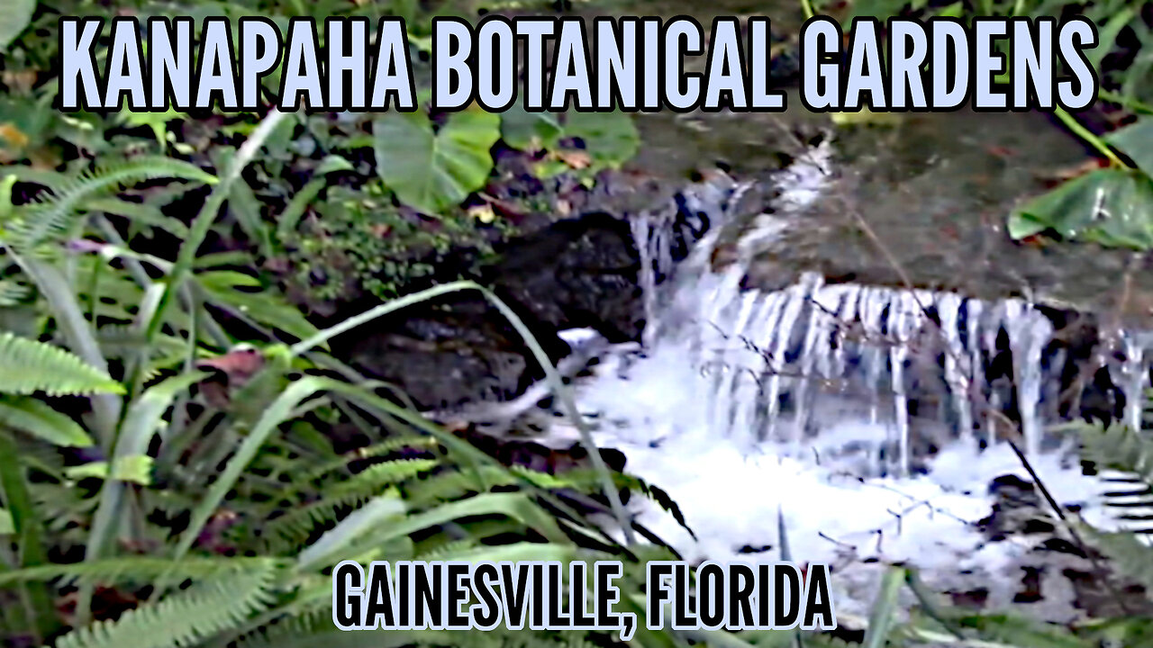 Kanapaha Botanical Gardens