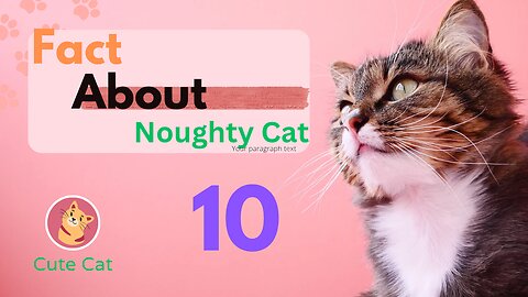 Fact About Cute Cat | Noughty Cat