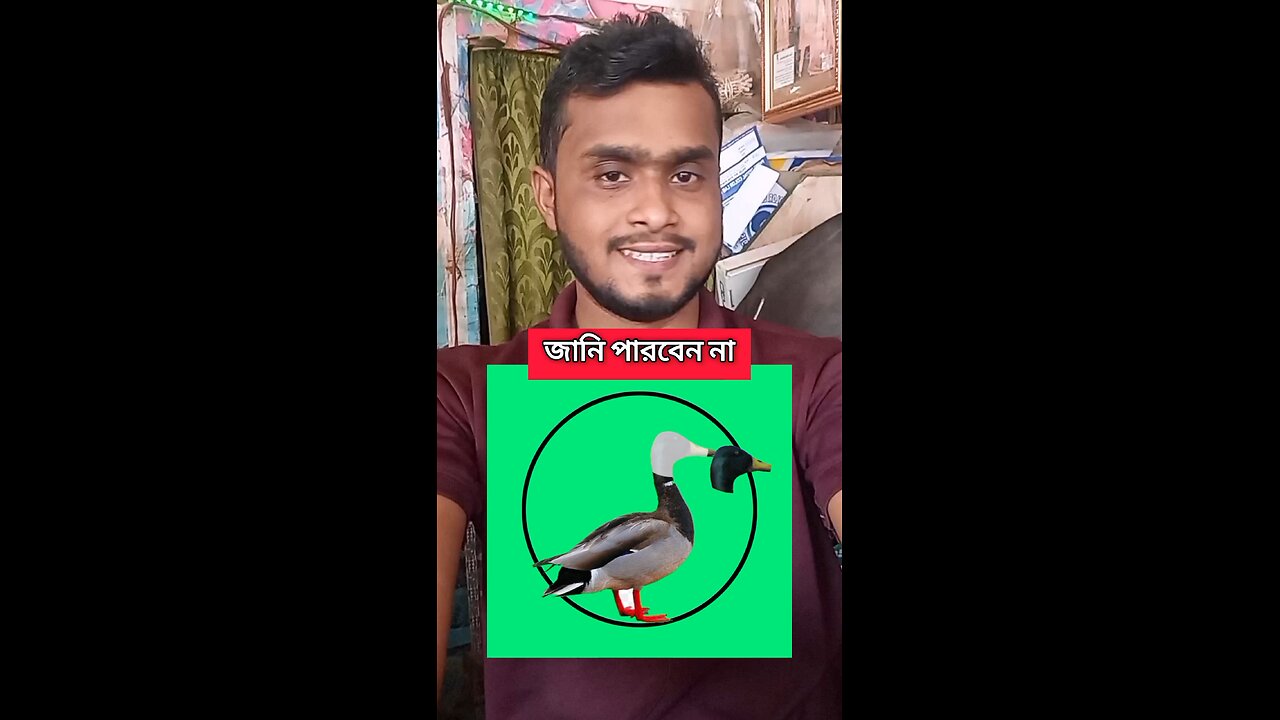 হাঁসের মাথাটি জোড়া লাগিয়ে দেখান #shorts #puzzle #viral #challenge