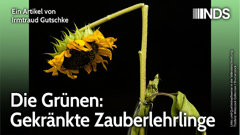 Die Grünen: Gekränkte Zauberlehrlinge | Irmtraud Gutschke | NDS