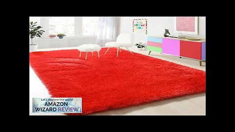 PAGISOFE Soft Modern Red Area Rug, 4x6 Feet, Shaggy Indoor Rug for Review