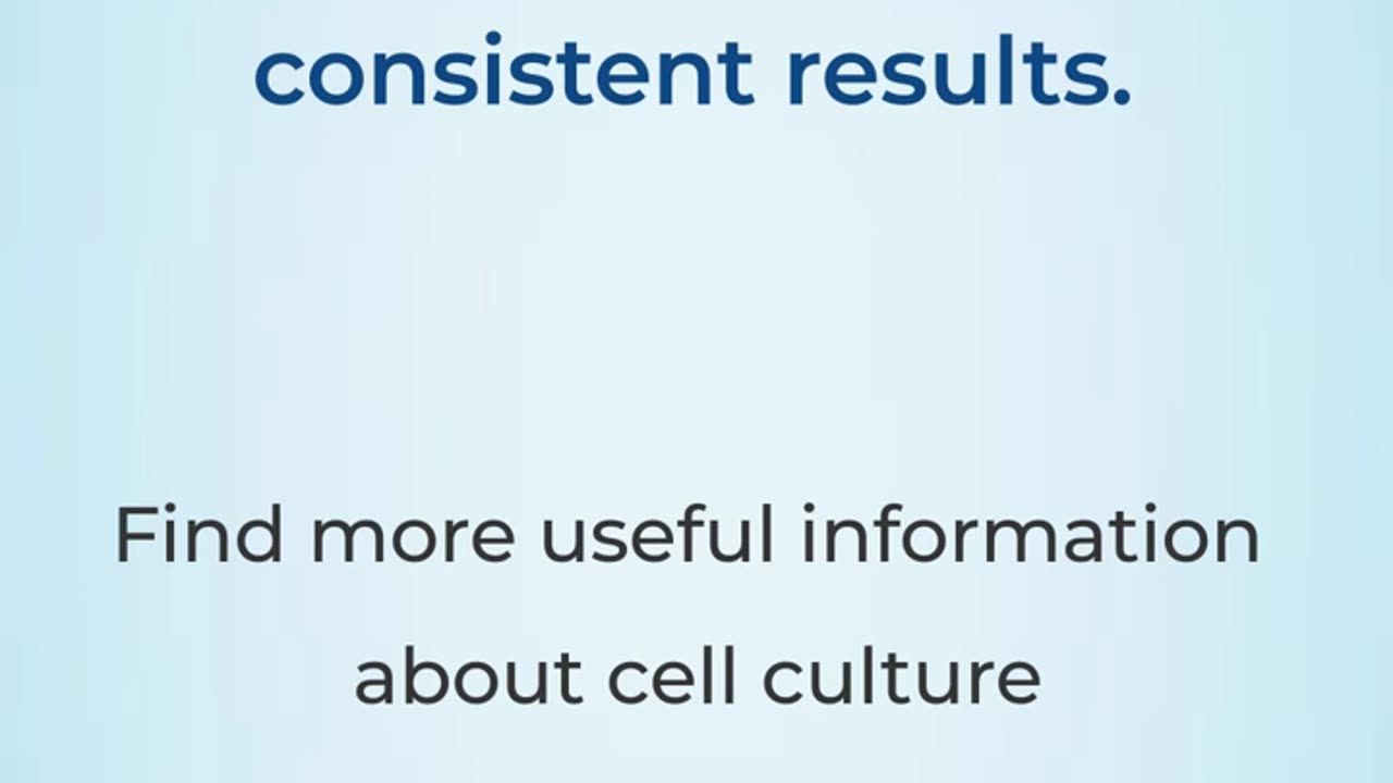 Ever wonder why keeping an eye on cell density is crucial? #Celldensity #Cellculture #researchlab