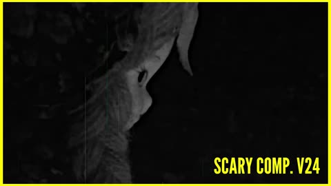 Scary Comp. V24 - Alarming Videos