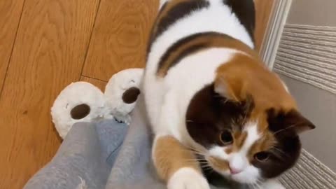 The clothes are all torn by you.