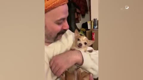HILARIOUS Pets in LOVE