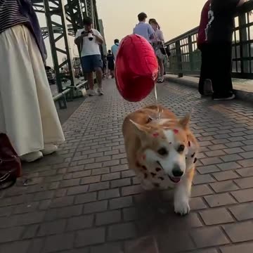 Be careful out there because Cupid is on the prowl