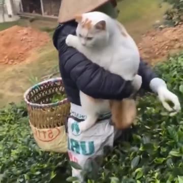 Taking your child to work day 😊