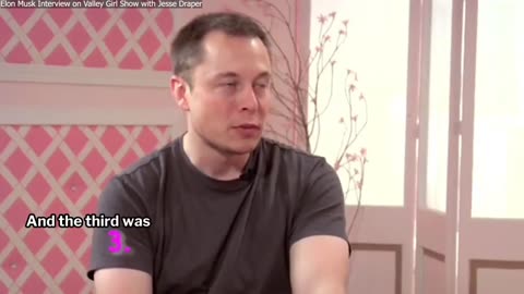 Elon Musk First Interview - Before He became a Billionaire