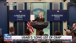 Karoline Leavitt is basically saying USAID is Money Laundering our Tax-Dollars