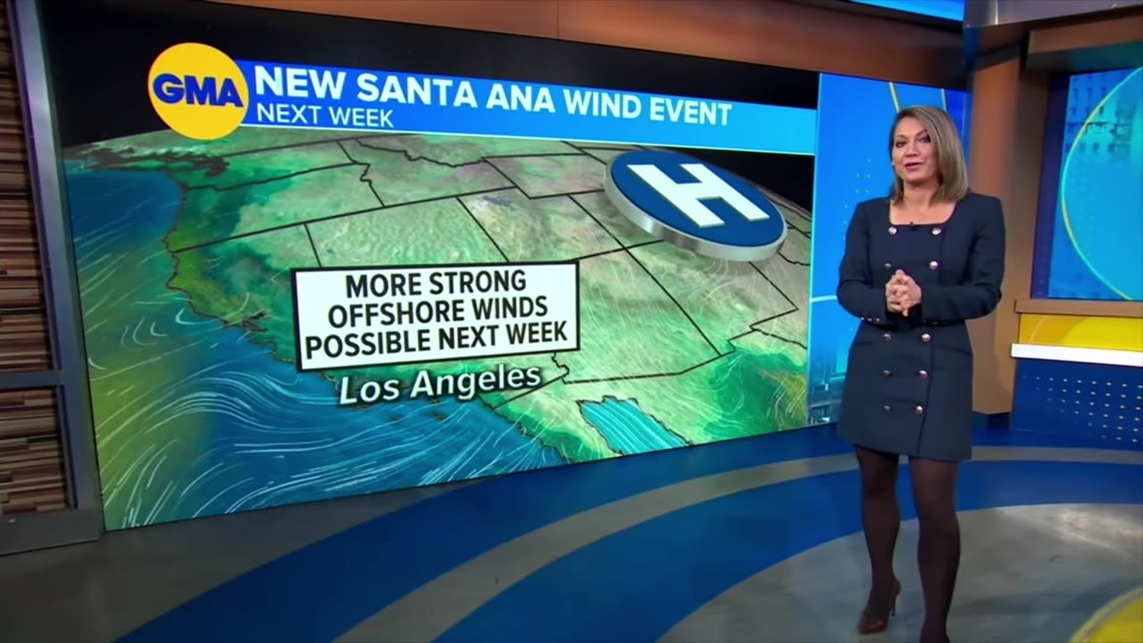 Ginger Zee