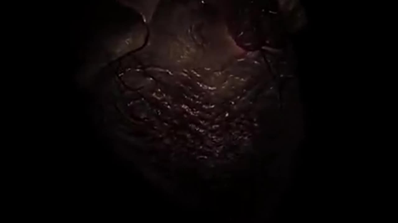 Jazakallah ♥️✨🕊️