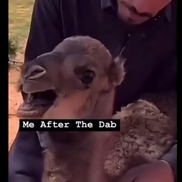 How I Feel After Taking a Dab