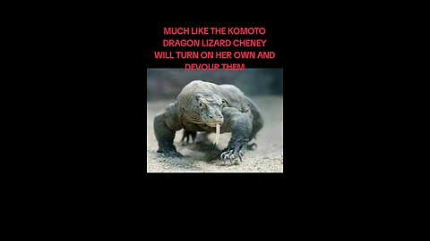 LIZARD CHENEY