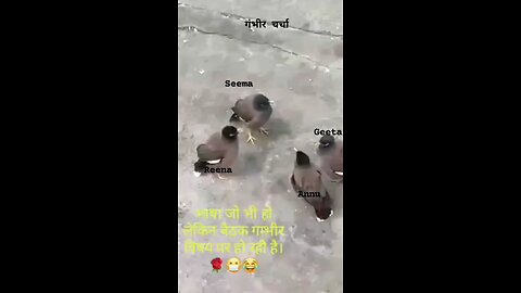 गंभीर चर्चा हो रही हैं